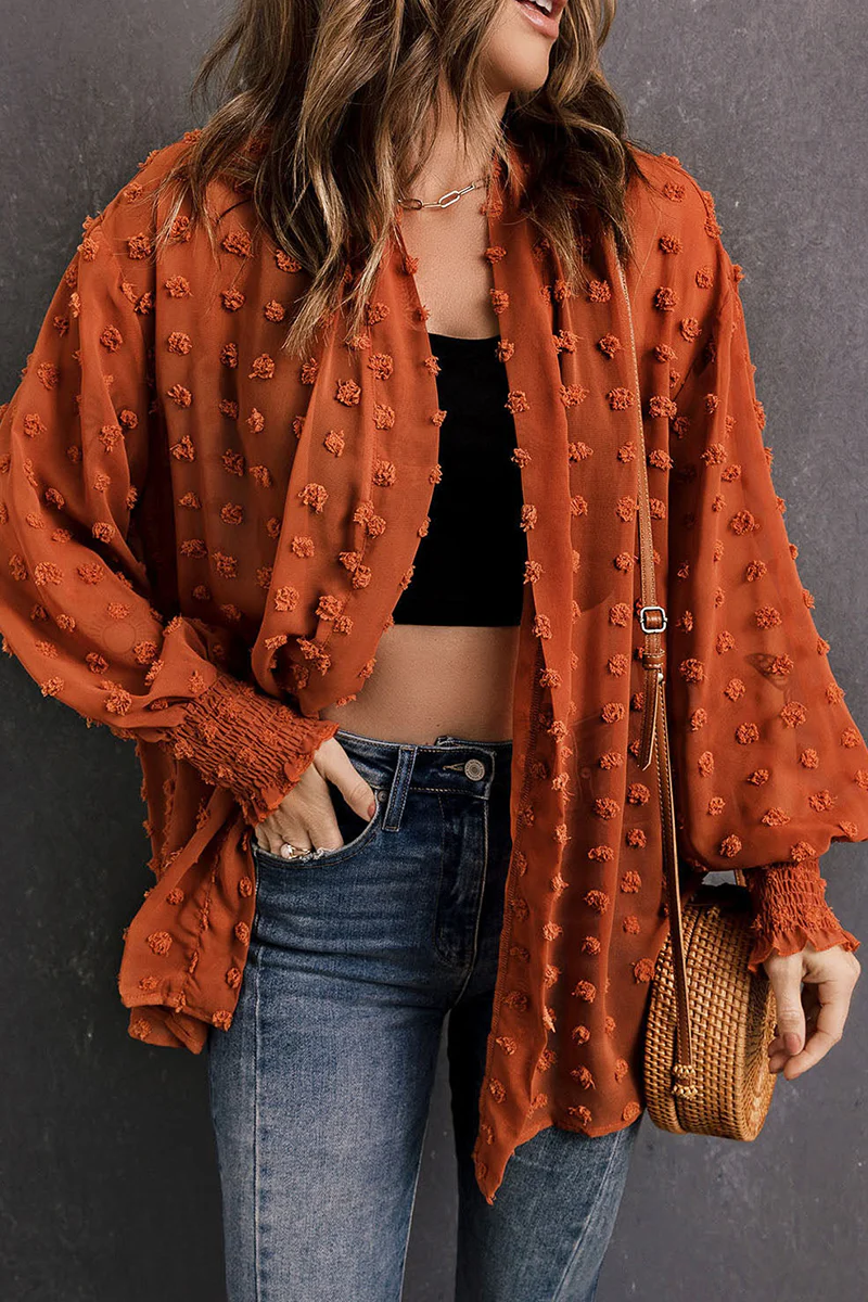 Casual Fur Ball Cardigan Collar Outerwear(3 Colors) - Panekey