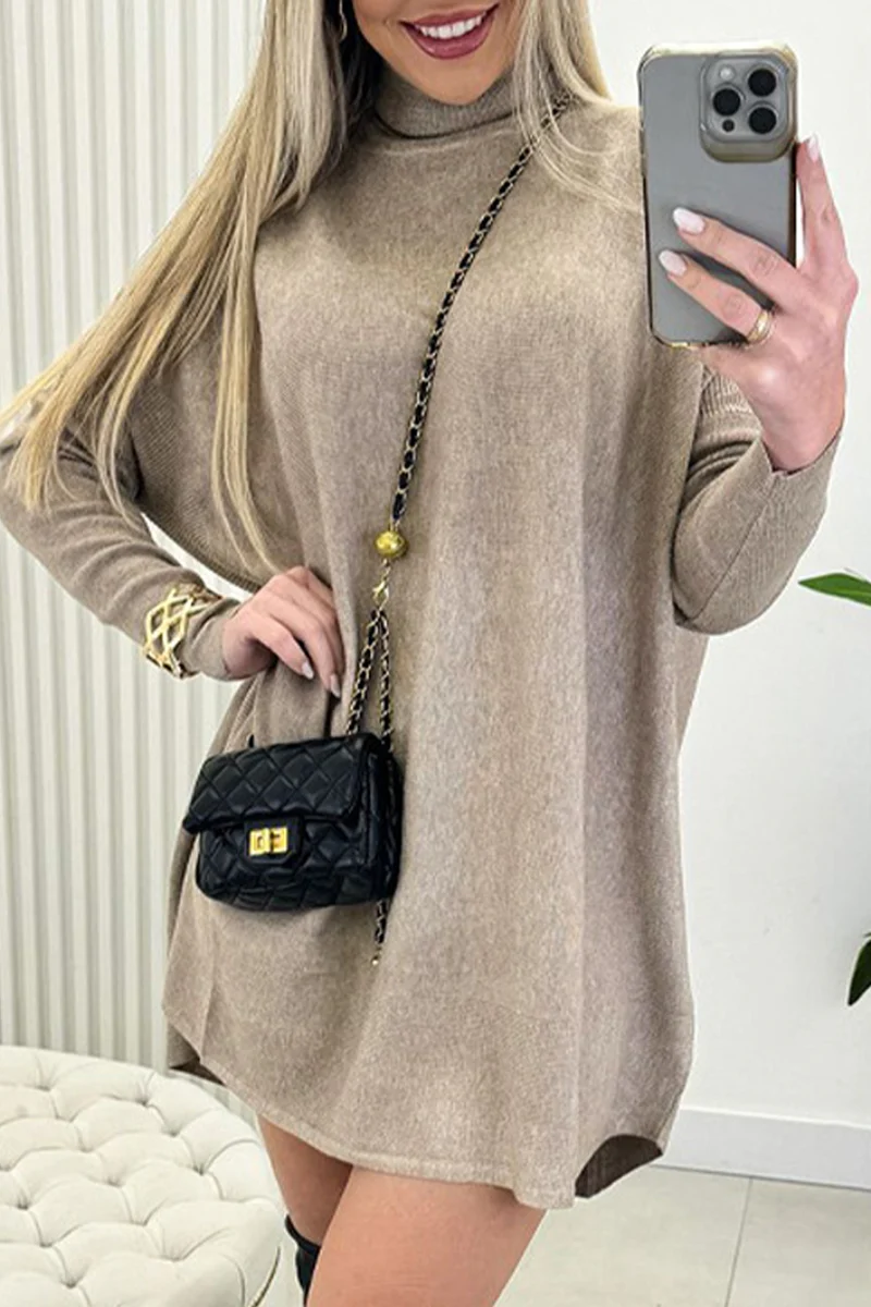 Casual Daily Solid Color Turtleneck Sweaters(3 Colors) - Panekey