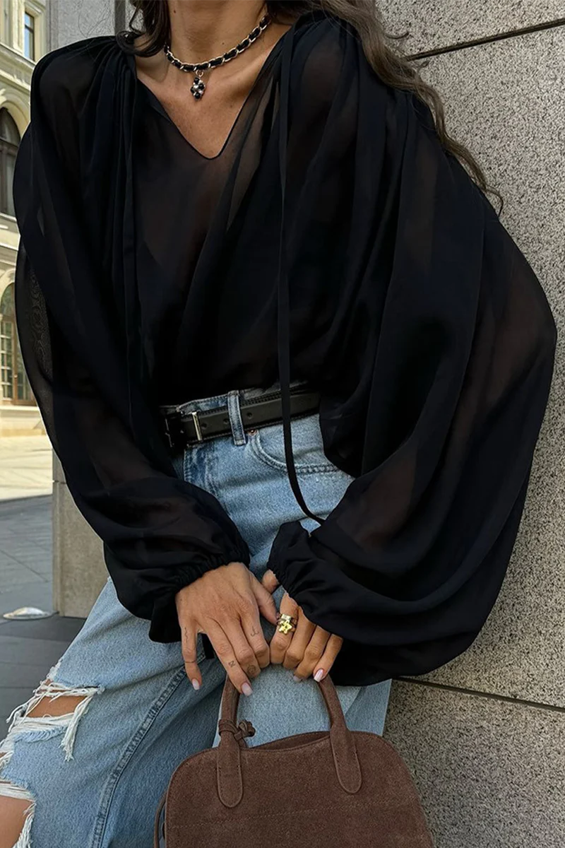 Casual Lace Up See-Through V Neck Blouses - Panekey