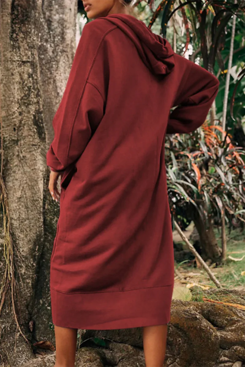 Casual Daily Pocket Slit Hooded Long Sleeve Dresses(4 Colors) - Panekey