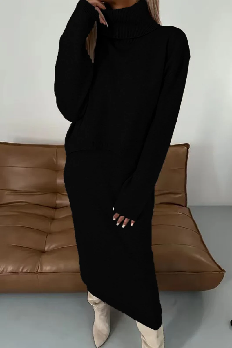 Casual Basic Turtleneck Long Sleeve Two Pieces(6 Colors) - Panekey