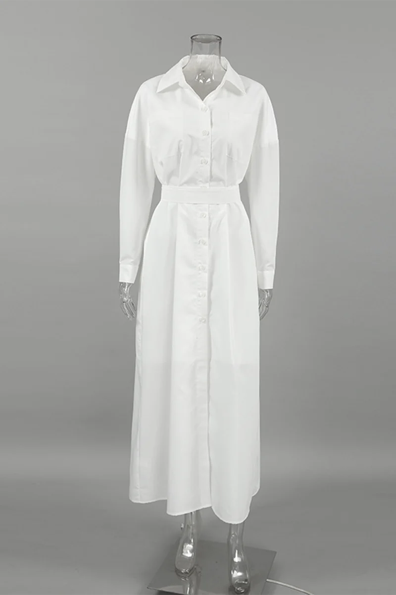 Casual Lace Up Buttons Turndown Collar Shirt Dresses - Panekey