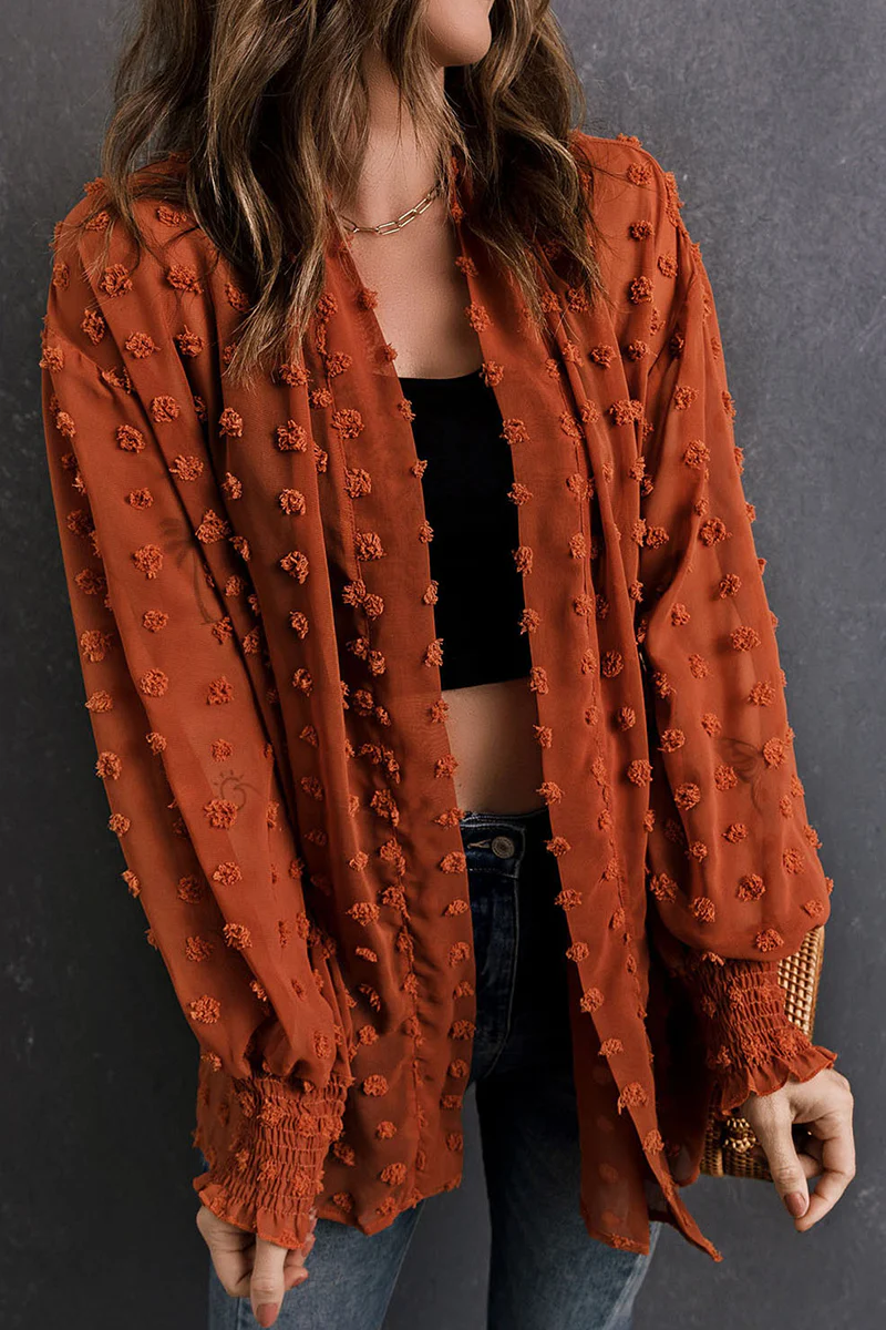 Casual Fur Ball Cardigan Collar Outerwear(3 Colors) - Panekey