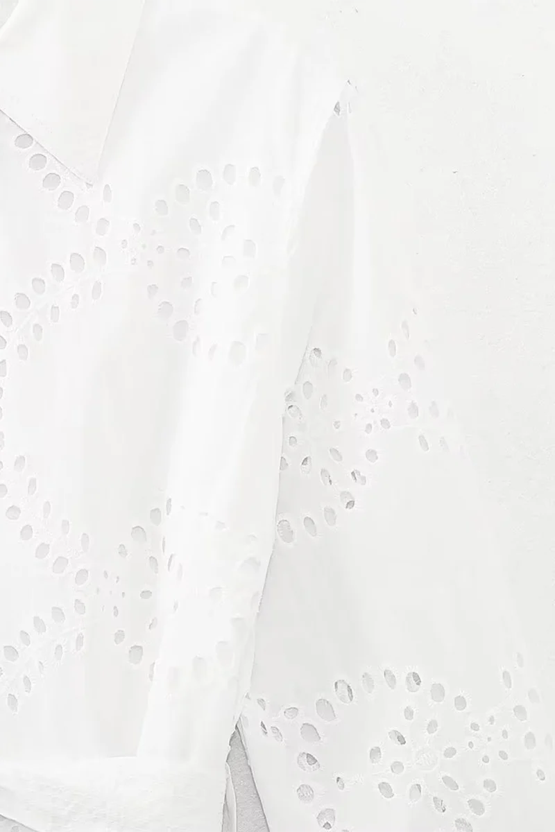 Casual Daily Solid Color Embroidered Hollow Out Lace Up Turndown Collar A Line Dresses - Panekey