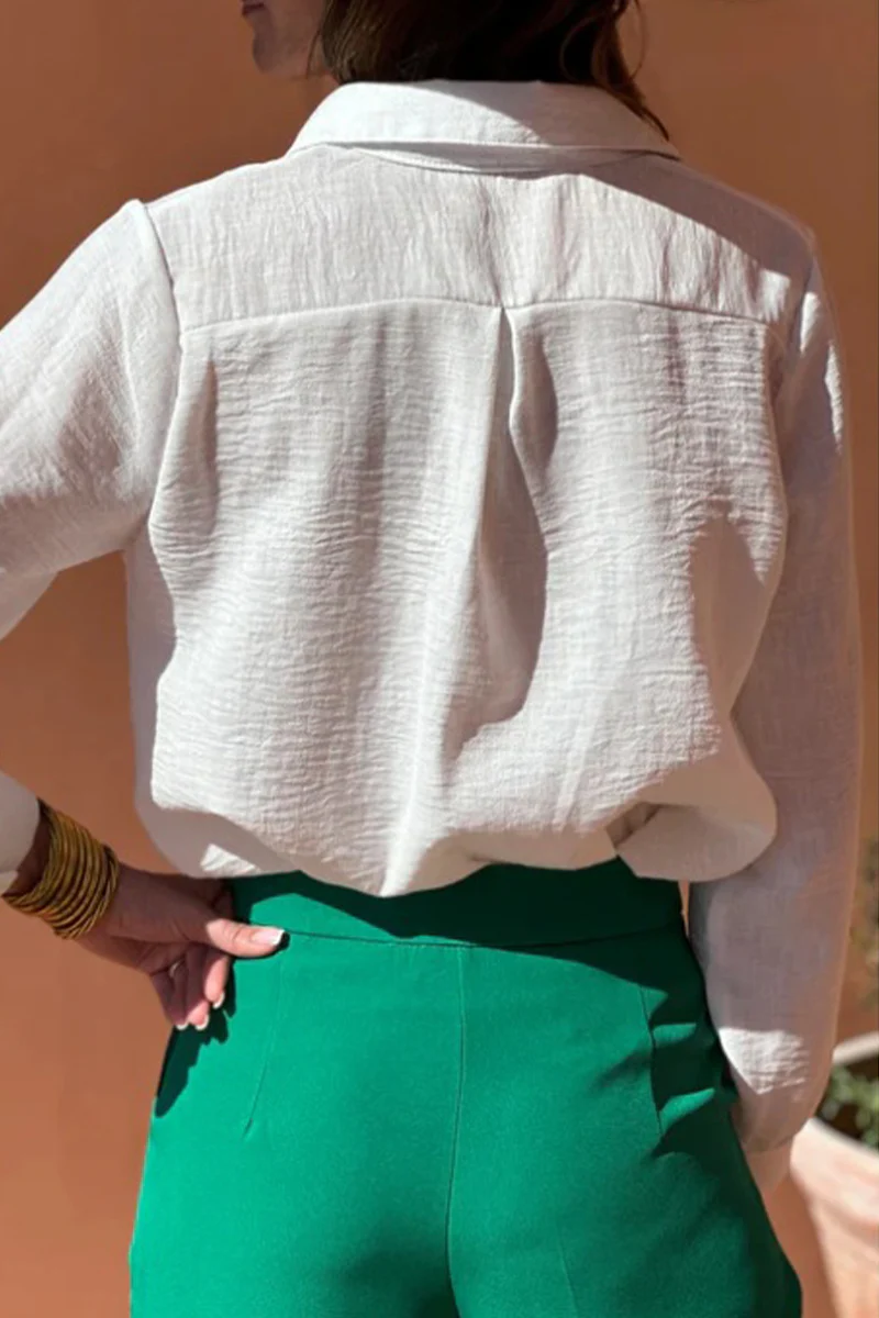 Casual Hollow Out Turndown Collar Blouses(4 Colors) - Panekey