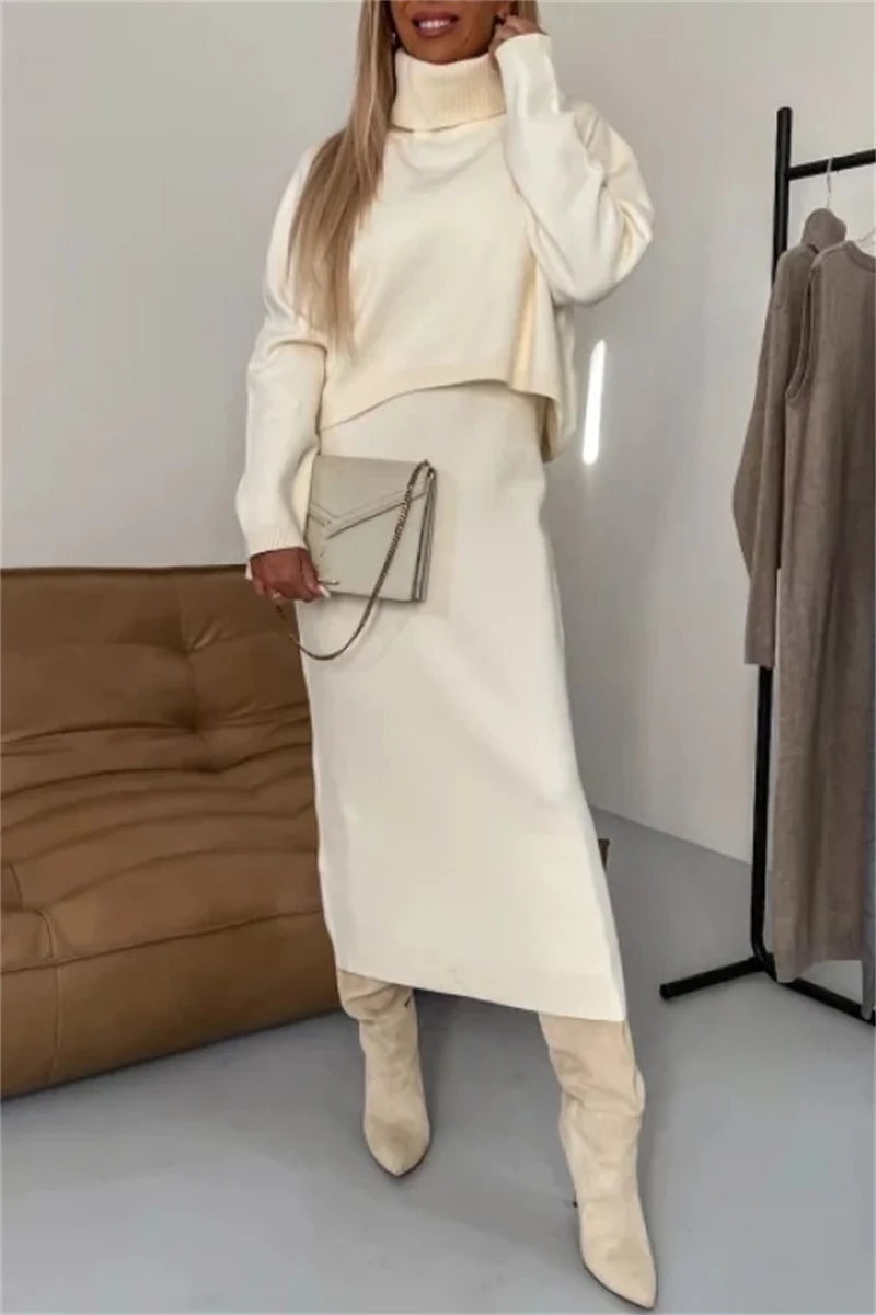 Casual Basic Turtleneck Long Sleeve Two Pieces(6 Colors) - Panekey