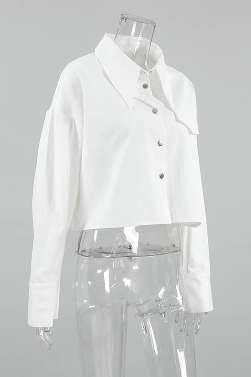 Casual Daily Buttons Turndown Collar Blouses - Panekey