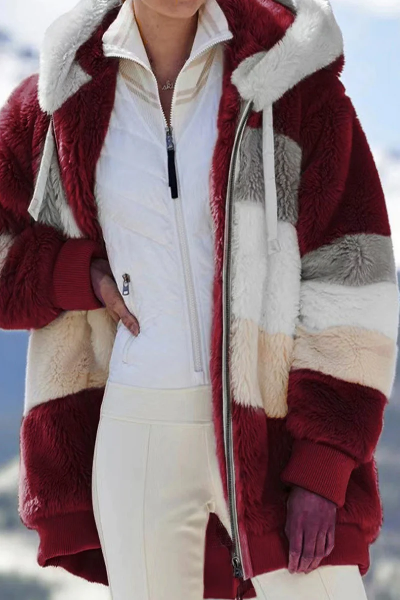 Casual Patchwork Contrast Zipper Hooded Collar Outerwear - Panekey