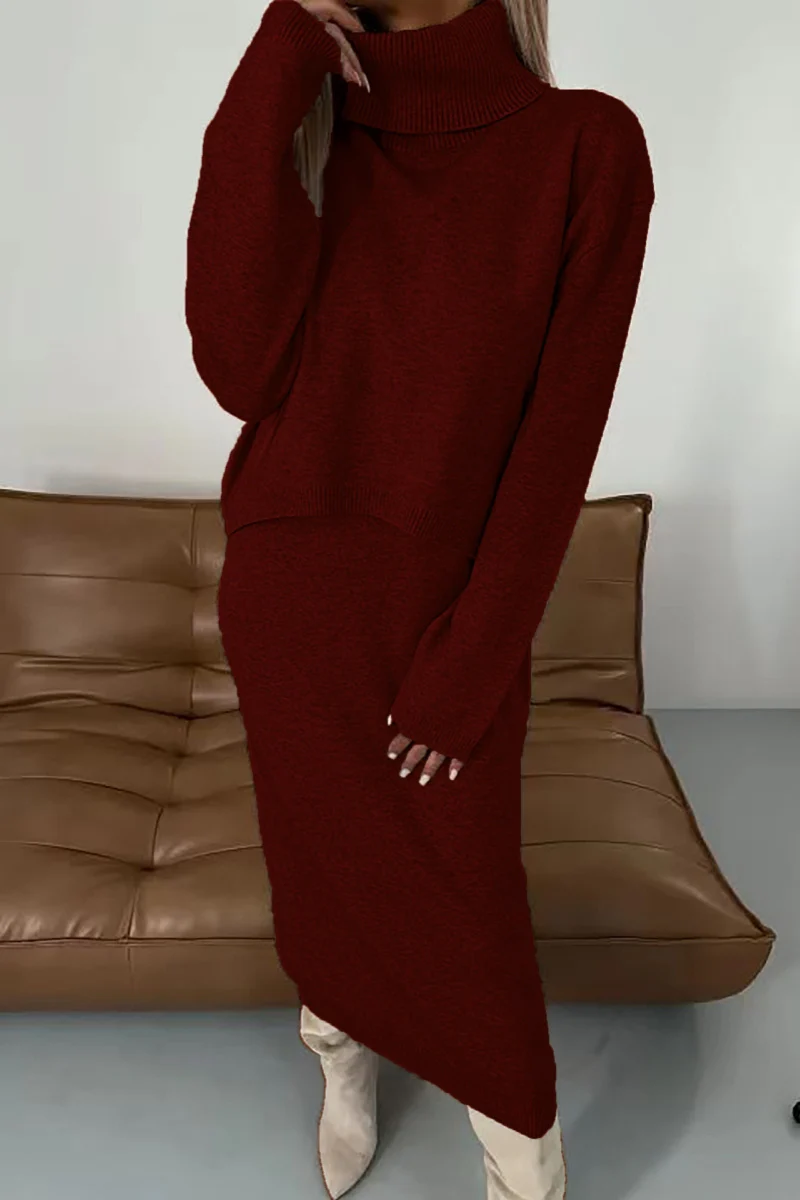 Casual Basic Turtleneck Long Sleeve Two Pieces(6 Colors) - Panekey