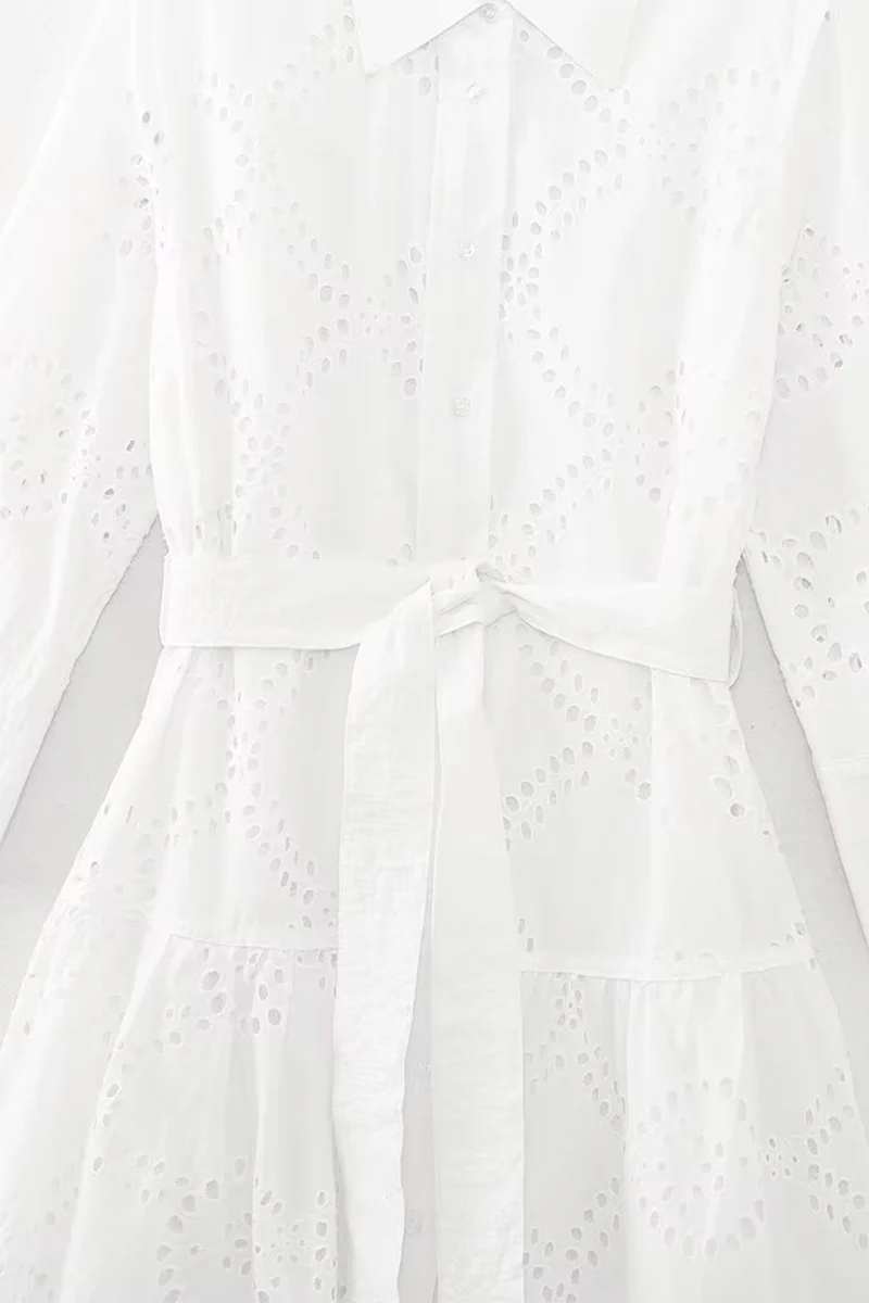 Casual Daily Solid Color Embroidered Hollow Out Lace Up Turndown Collar A Line Dresses - Panekey