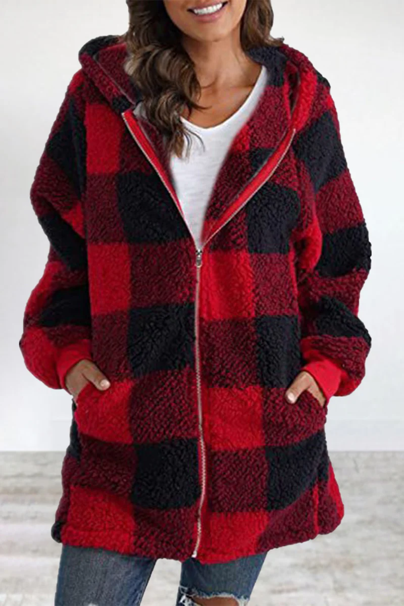 Casual Plaid Frenulum Contrast Zipper Hooded Collar Outerwear - Panekey