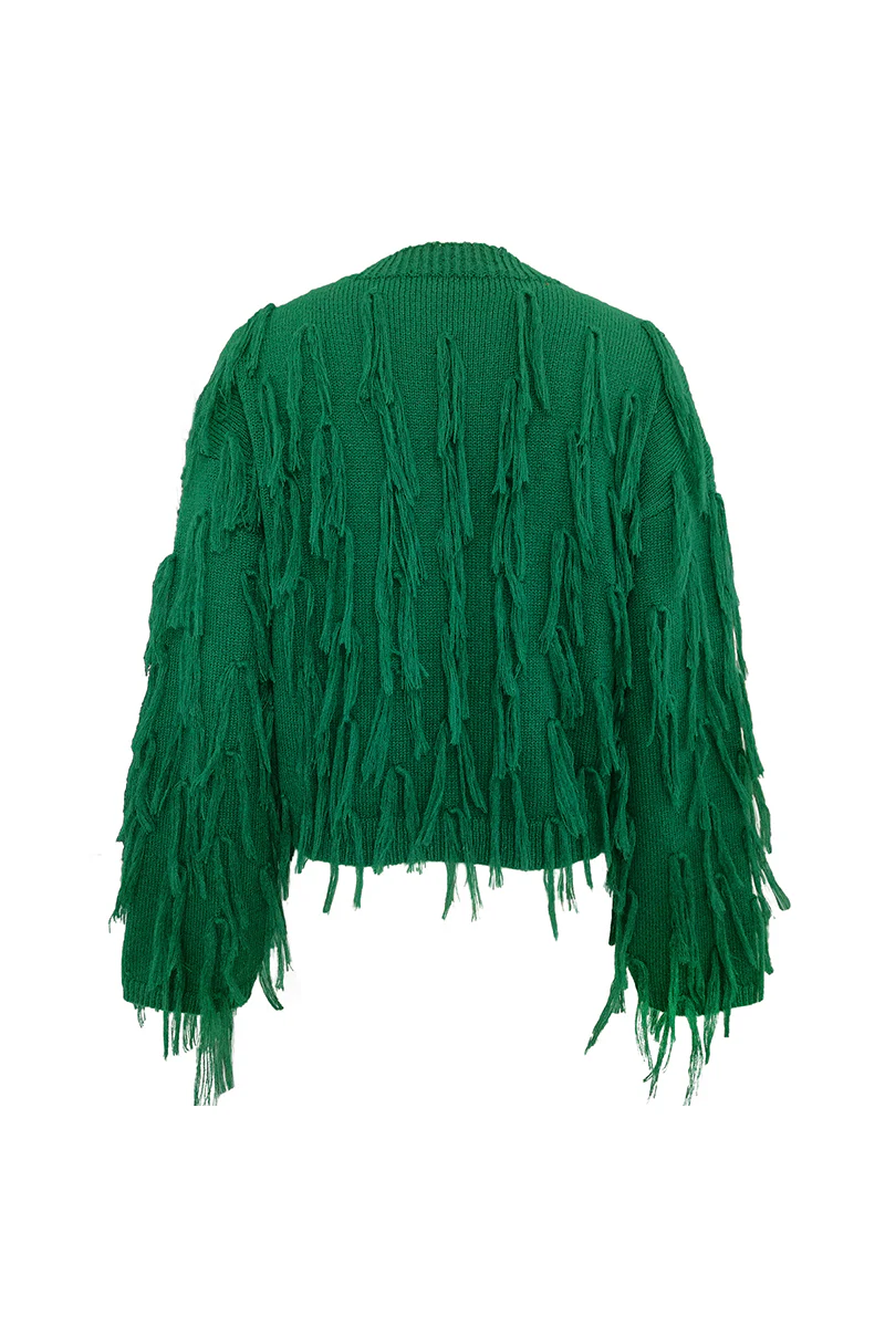 British Style Elegant Solid Tassel O Neck Sweaters(5 Colors) - Panekey