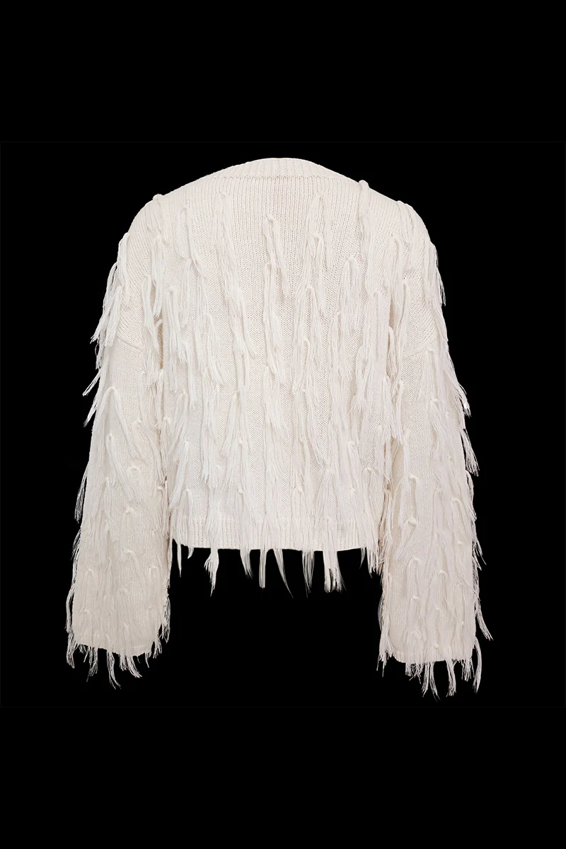 British Style Elegant Solid Tassel O Neck Sweaters(5 Colors) - Panekey