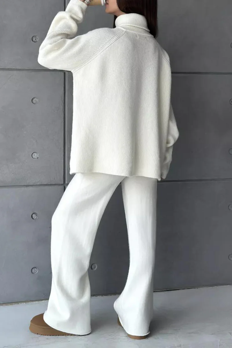 Casual Daily Zipper Collar Long Sleeve Two Pieces(6 Colors) - Panekey