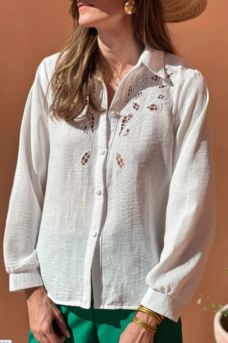 Casual Hollow Out Turndown Collar Blouses(4 Colors) - Panekey