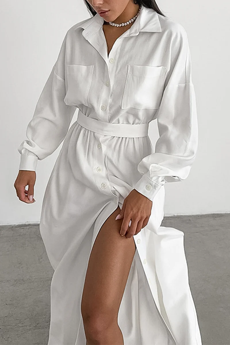 Casual Lace Up Buttons Turndown Collar Shirt Dresses - Panekey