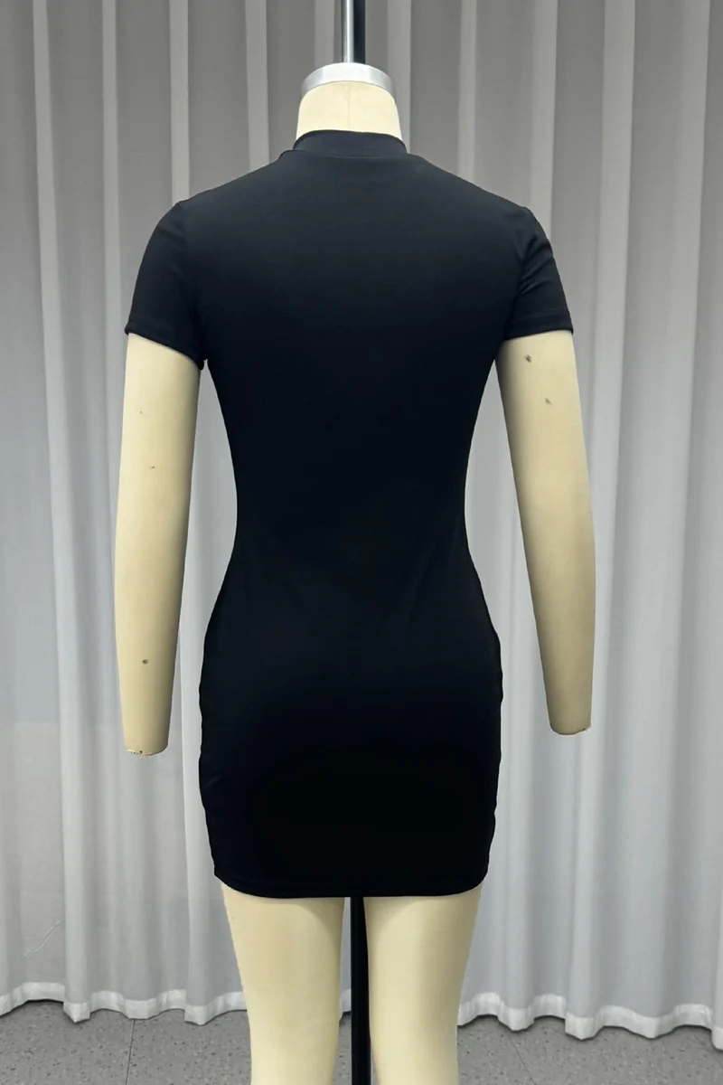 Casual Buttons Tassel Half A Turtleneck Wrapped Skirt Dresses - Panekey