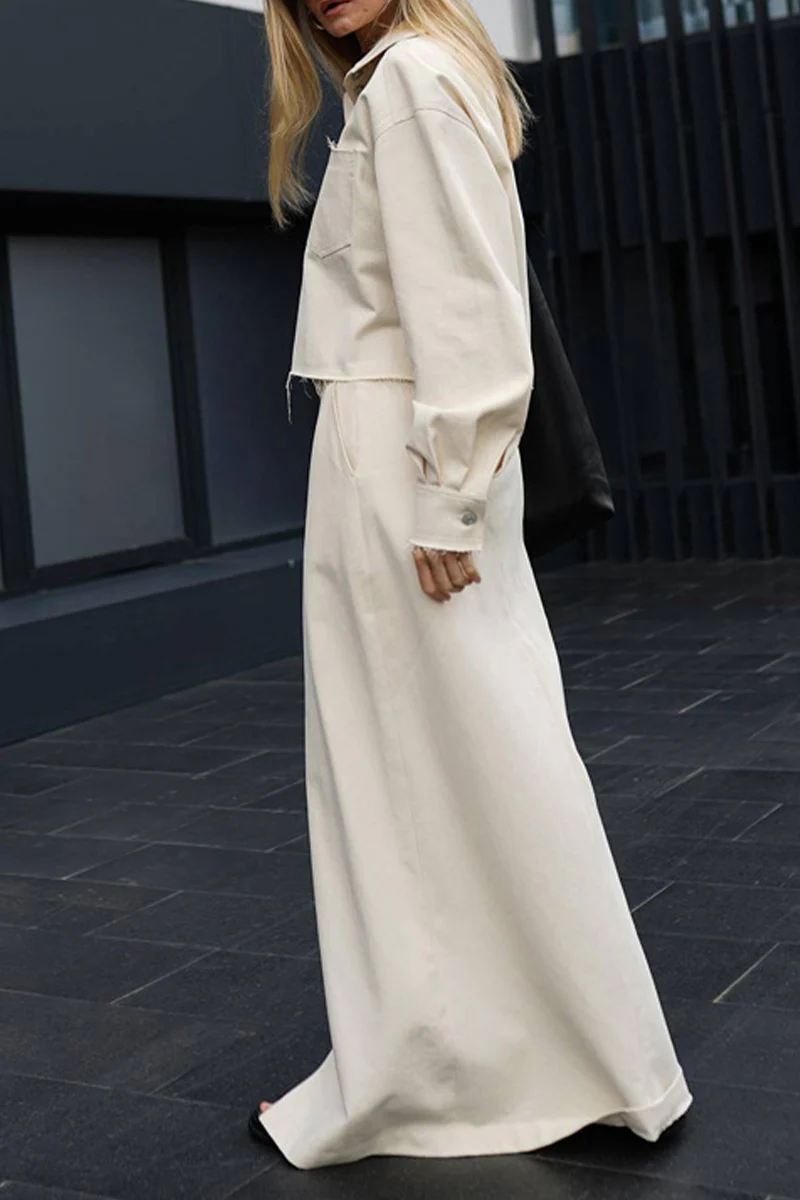 Casual Elegant Solid Pocket Turndown Collar Long Sleeve Two Pieces - Panekey