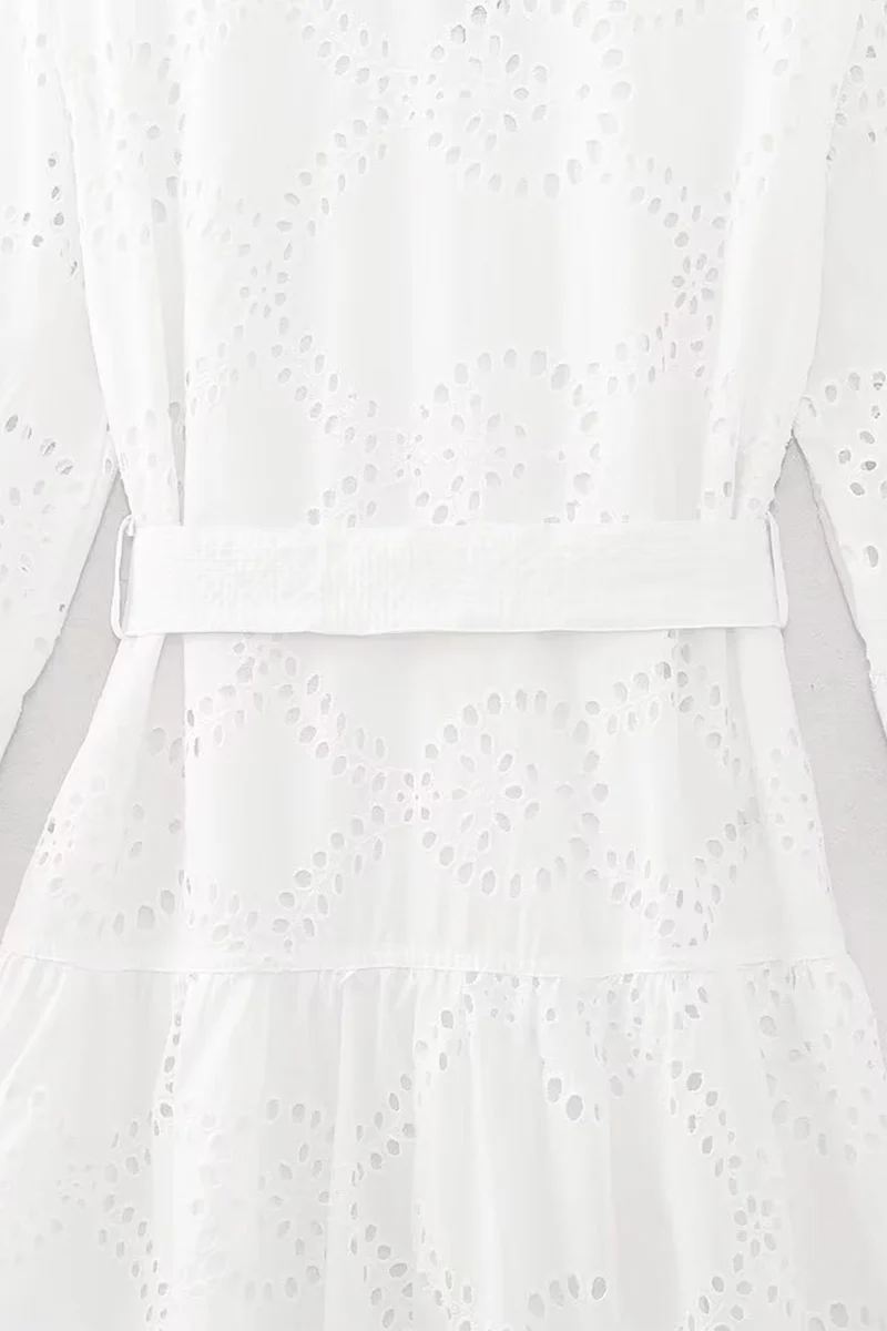 Casual Daily Solid Color Embroidered Hollow Out Lace Up Turndown Collar A Line Dresses - Panekey