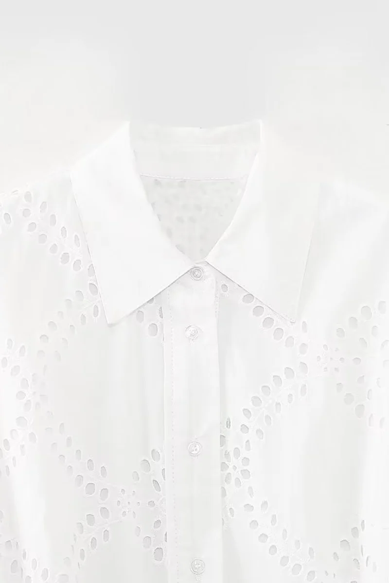 Casual Daily Solid Color Embroidered Hollow Out Lace Up Turndown Collar A Line Dresses - Panekey