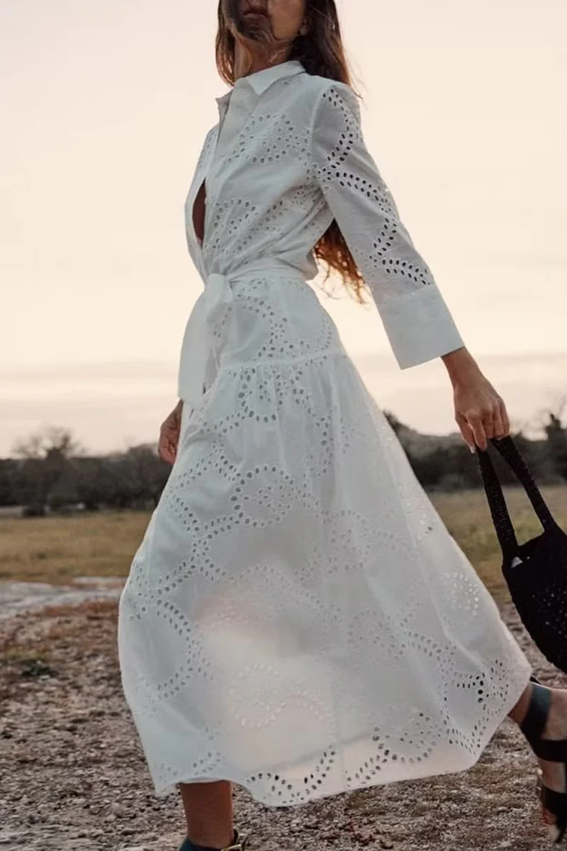 Casual Daily Solid Color Embroidered Hollow Out Lace Up Turndown Collar A Line Dresses - Panekey