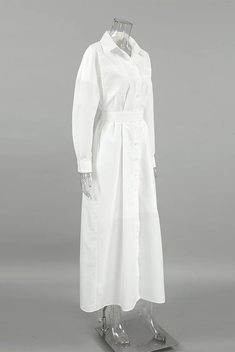 Casual Lace Up Buttons Turndown Collar Shirt Dresses - Panekey