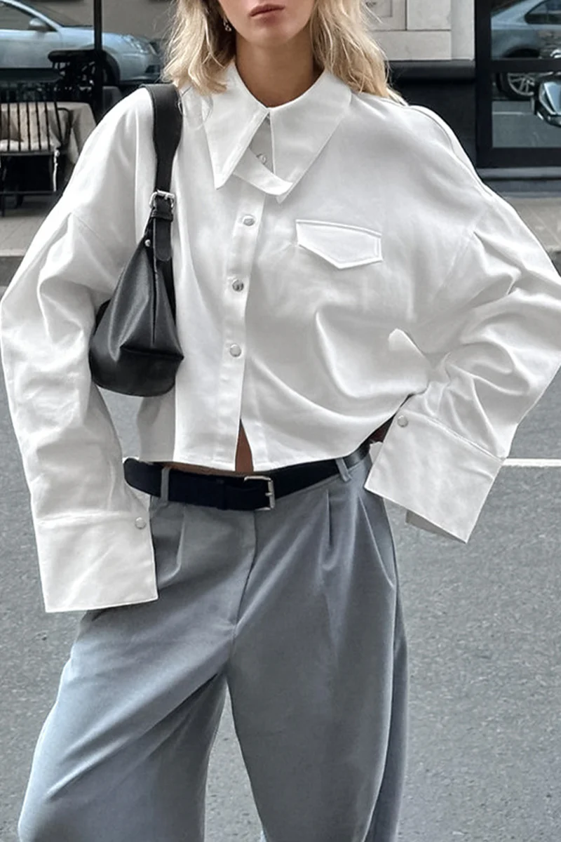 Casual Daily Buttons Turndown Collar Blouses - Panekey