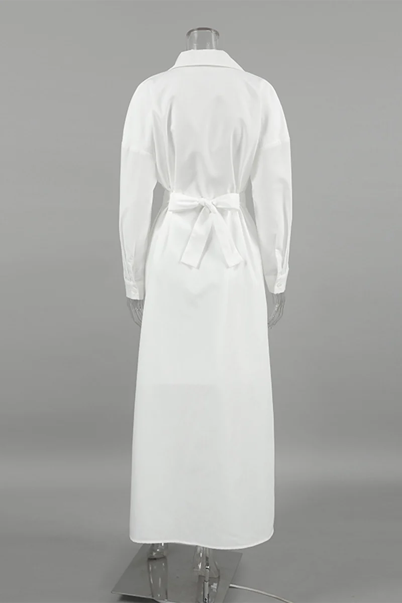 Casual Lace Up Buttons Turndown Collar Shirt Dresses - Panekey