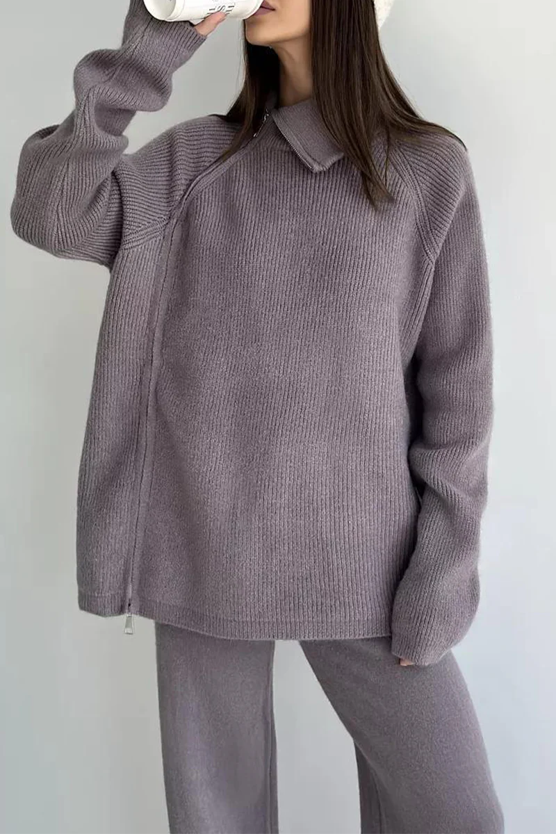 Casual Daily Zipper Collar Long Sleeve Two Pieces(6 Colors) - Panekey